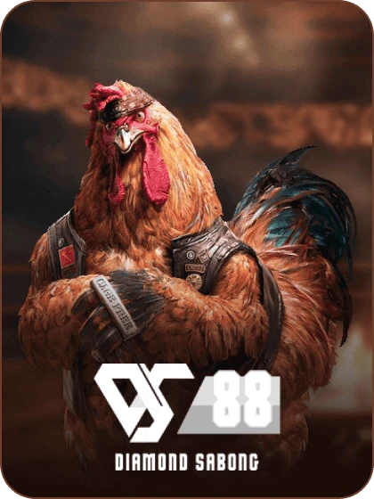 DS88